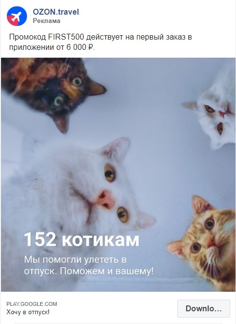 OZON.travel помогает котикам улететь в отпуск OZON.travel помогает котикам улететь в отпуск